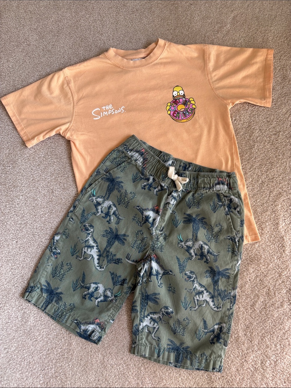 OUTFIT- Kid Zara Peach Simpsons Tee with Olive Dino Shorts